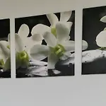 Ferienwohnung Mit Guter Anbindung Zur City & Natur