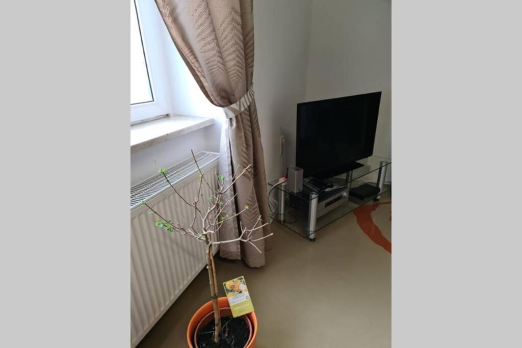 Ferienwohnung Mit Guter Anbindung Zur & Apartment