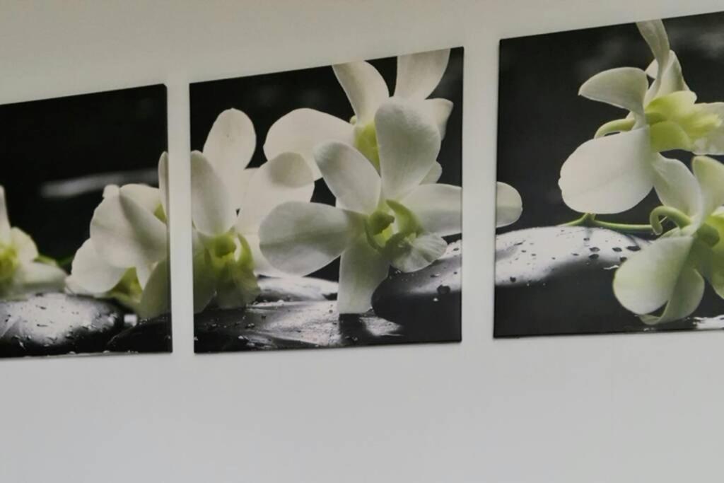 Ferienwohnung Mit Guter Anbindung Zur & Apartment *
